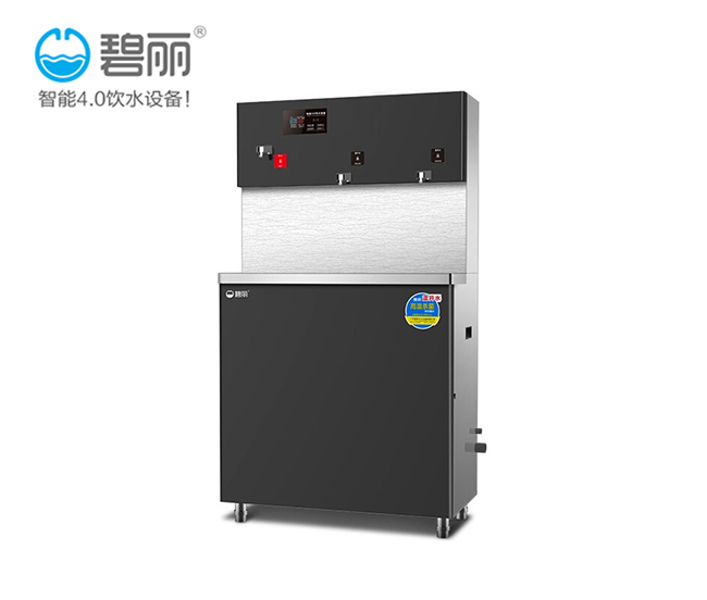 碧丽节能学校直饮水机供应厂家 碧丽节能学校直饮水机供应厂家