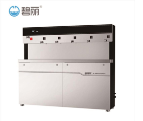 碧丽节能工厂直饮水机供应厂家 碧丽节能工厂直饮水机供应厂家