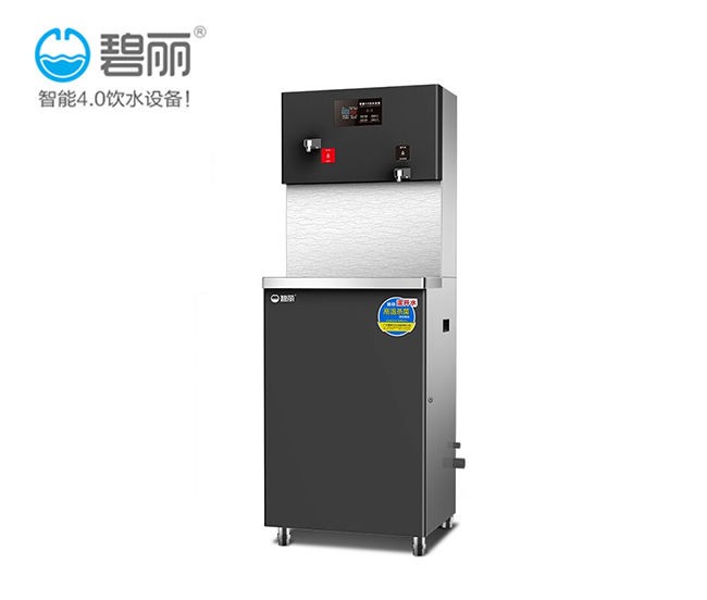 碧丽节能幼儿园直饮水机供应厂家 碧丽节能幼儿园直饮水机供应厂家