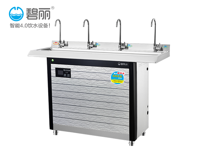 碧丽节能幼儿园直饮水机生产厂家 碧丽节能幼儿园直饮水机生产厂家